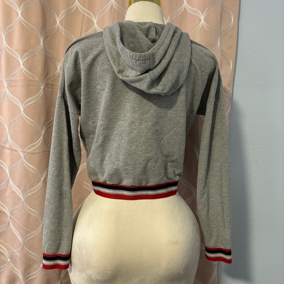 #0065 Gray Hooded Sweater with Striped Hem, Size M - Picture 2 of 3